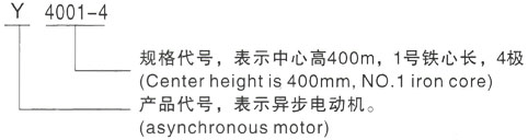 西安泰富西玛Y系列(H355-1000)高压YE2-132M2-6三相异步电机型号说明