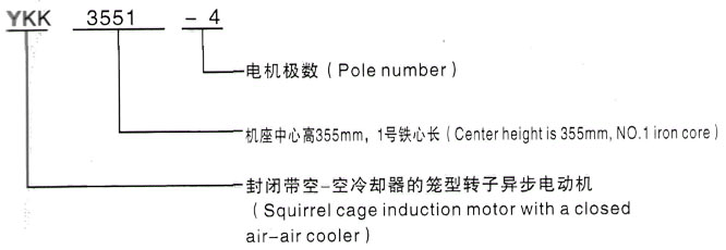 YKK系列(H355-1000)高压YE2-132M2-6三相异步电机西安泰富西玛电机型号说明