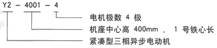 YR系列(H355-1000)高压YE2-132M2-6三相异步电机西安西玛电机型号说明